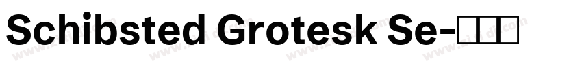 Schibsted Grotesk Se字体转换